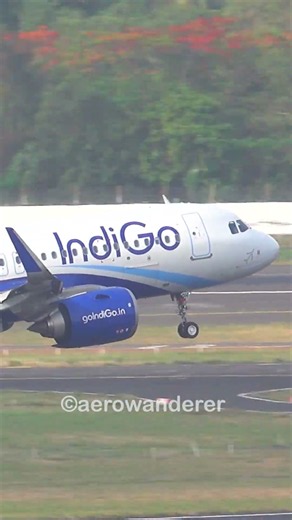 INDIGO A320 NEO landing at Mumbai Airport #shorts #aviation #indigo #a320 #plane #landing #mumbai