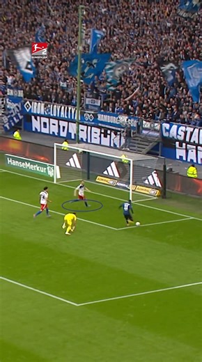 Bundesliga on Instagram: "It's not over 'til it's over! 👊 @HSV | #Bundesliga2"