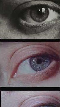 P is for Pamela Anderson (or) the ABCs of everything. #IRLurl