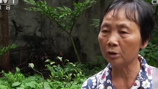 案件实录：女学生控诉被男老师侵犯，昔日同事纷纷作证，集体力挺他是清白的_腾讯新闻