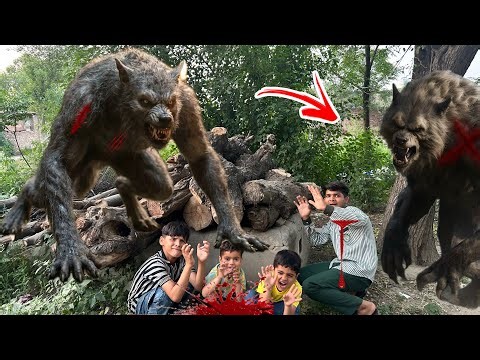 Black wolf nay hamri gang per attack kar dia💔.#blackwolf #wolfattack #petsvlogging