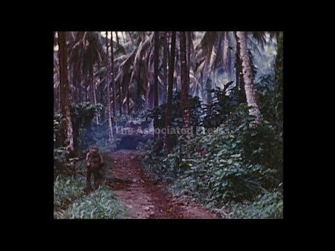 The German Army in Action