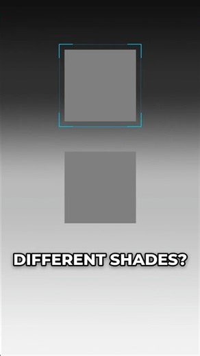 Are These Squares the Same Color? 🧠