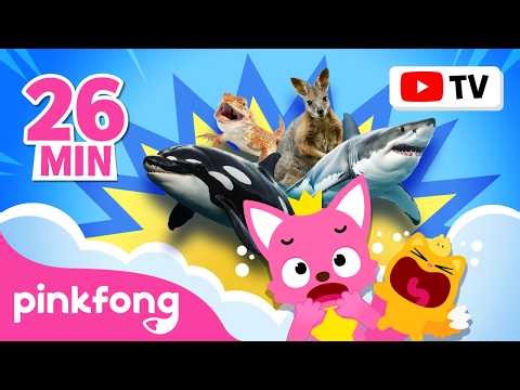 [Full Episodes] Did You Know These Animals? | Creepy Zombie Animals and More | Pinkfong Official