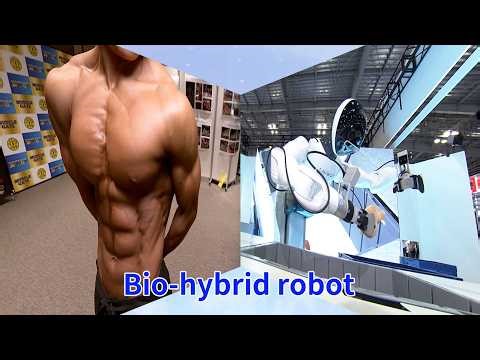 Powering Robots with Artificial Muscles_Channel Japan #5/2026