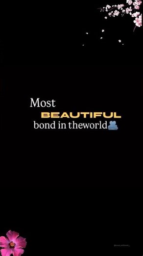 Sister Love Template | Sister Template | Trending Instagram Reel Template | #sisterlovestatus #vn