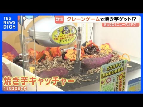 サツマイモをお得にゲットできるチャンス！？「焼き芋キャッチャー」が登場！店内で焼いて食べられる“アミューズメント体験”が人気に｜TBS NEWS DIG