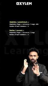 Important Question From The Chapter - 'CLASSIFICATION'