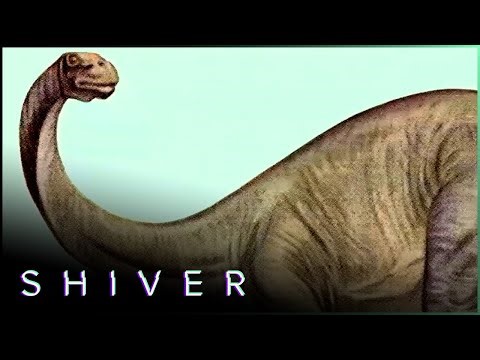 Are Living Dinosaurs Hiding in Africa? The Mystery of Mokele Mbembe