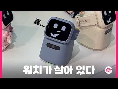 이 정도면 거의 종이다