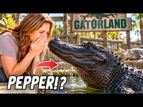 I Finally Reunited With My Alligator After Years Apart…