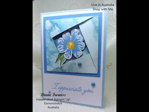 #303 (25) Camera Shutter Card