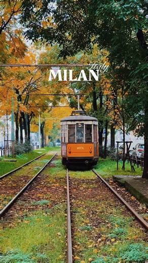 📍Milan, Italy 🇮🇹 🍁🍂 . . . . . . #autumn #fall #nature #autumnvibes #photography #love #naturephotography #october #halloween #photooftheday #autumncolors #landscape #instagood #herbst #travel #leaves #autumnleaves #picoftheday #winter #fashion #naturelovers #beautiful #photo #art #autunno | Travel Vibes .Abi ღ