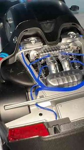 From Classic to Exotic: The Evolution of My Car Collection