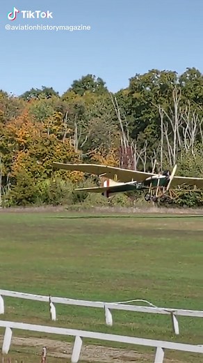 Etrich Taube Takes Flight at Old Rhinebeck