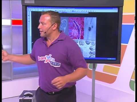 Biodiversity and Classification of Micro-organisms : Grade 11 Life Sciences