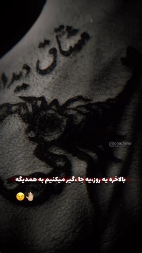 ‎𝐎𝐧𝐢𝐱|ترور‎ on Instagram: "This viral video captures a man repeatedly attempting to flee a pursuing Belgian Malinois through a kennel gate, creating a comedic "infinity loop" as the dog's relentless energy traps him in a cycle of evasion, filmed at what appears to be a dog training facility. , an account specialising in absurd, decontextualised human moments, the clip amassed over 8 million views and 34,000 likes within weeks, highlighting the breed's renowned stamina—Belgian Malinois can su