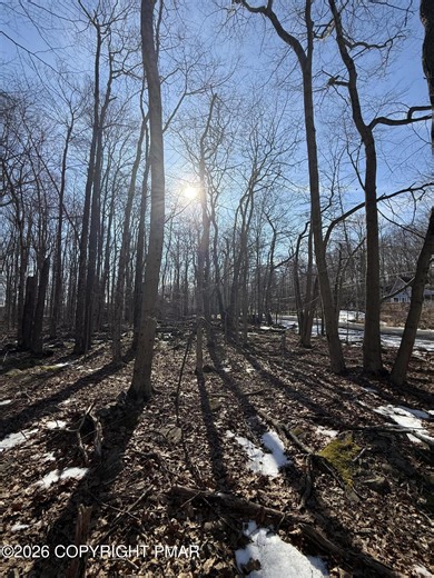 804 Selig Rd, Pocono Lake, PA 18347 - MLS PM-138260 - Coldwell Banker