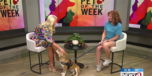Pet of the Week: Rockin’ Ruckus