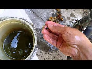 Pentair Whisperflo pump/plugged impeller