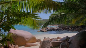 Seychelles Uncharted, découvrez le côté sauvage du paradis