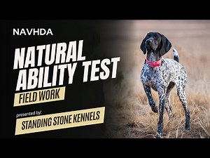 NAVHDA Natural Ability Test - Field Phase
