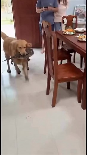 911 reactions · 43 comments | Follow @YourBestLife.Thai for BEST Deals on 量Tours Transport Events Villas Dining & More in Thailand!  Book Today at Link in Bio! ‼️Promote Your Business for ONLY 100 Baht!‼️ FOLLOW US!!  @YourBestLife.Asia  @YourBestLife.Thai  @YourBestLife.Phuket  @YourBestLife.Bangkok  by @thailandshots #thailand #bangkok #travel #phuket #thai | Your Best Life Thailand | Facebook