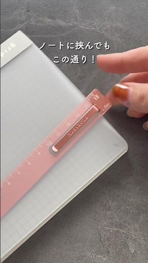 A ruler that can be clipped into a notebook or planner 📏 It's easy to cut paper and the markings ...
