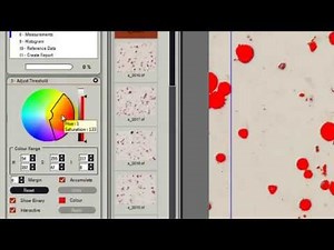 LAS Image Analysis – Step-by-Step