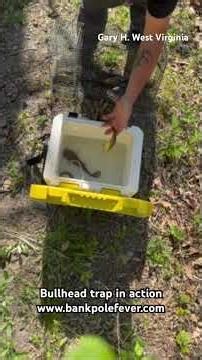 Bankpolefever Bullhead Trap — Real Customer Catch #bankpolefever #bullheadcatfish #baittrap