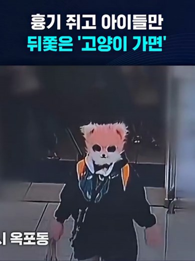 흉기 쥐고 아이들만 쫓았다…공포의 '고양이 마스크' #흉기 #고양이 #가면 #마스크 #아이 #거제 #환청