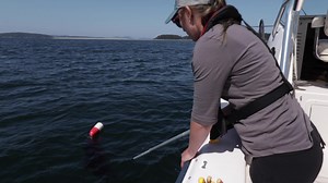 588K views · 1.5K reactions | Dropping a couple of crab traps is...