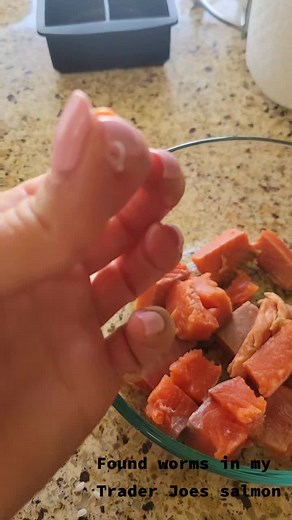 Identifying Worms in Cooked Salmon | What to Look For