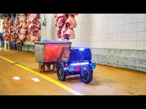 Capra Food Processing Logistics Hire UK | Autonomous AMR Solutions by Robot Center