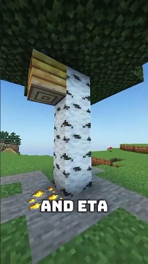 Beautiful Minecraft Decoration Idea with Beehive & Gold ✨🐝