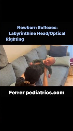 Newborn Reflexes: Labyrinthine Head/Optical Righting . Maria Teresa Ferrer, Dr in Physical Therapy