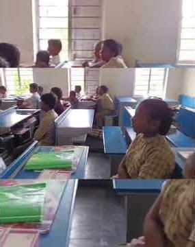 PM-SHRI APMS PAMIDI SUCCESSFUL TTEACHING DISSIMNITION