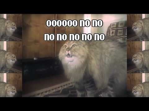 NONONONO Cat (Jake Benson Remix)