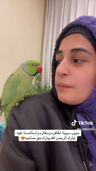 تبارك الرحمن: جمال طيور الببغاء في البحرين
