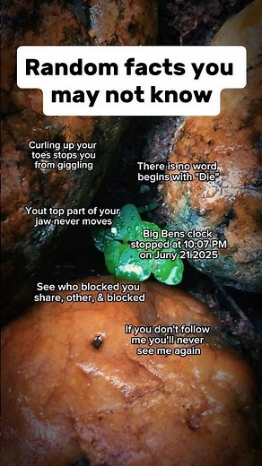 7 Random Facts You May Not Know 🤯 #random #psychology #facts