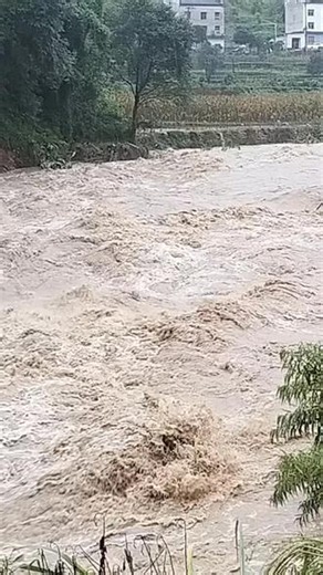 8月5日清晨亲眼所见 门前小河暴涨起洪水 水流汹涌来势汹汹 愿山河无恙 周边邻里都平安顺遂 #洪水灾情# 河水暴涨# 愿平安无恙# 自然I灾害