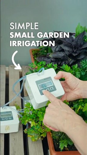 Smart & Easy Small Garden Irrigation System #shorts #gardening #diy #garden