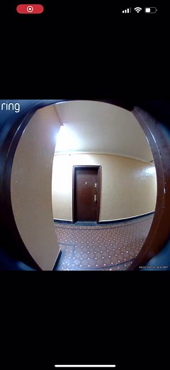 Mastering Sneaky Moves: Avoiding the Camera