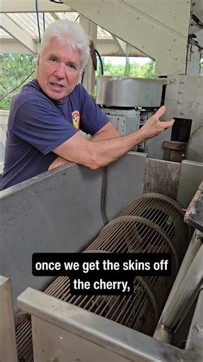 Coffee Harvest Step 2: Pulping