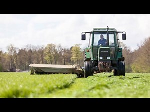 How the Netherlands is revolutionizing global food production: Lessons for a sustainable future