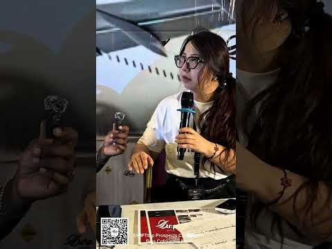 SWIFTtrip YOU MUST NOT. MISS