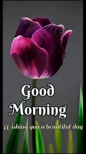 #goodmorning #goodnight | Good Morning & Good Night