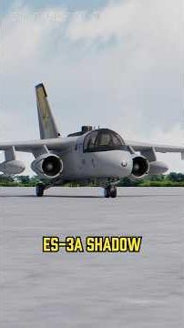 The Viking Variant That Was Gone Too Soon: ES-3A Shadow
