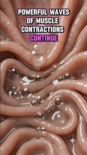 6. Why Your Stomach Growls When You're Hungry