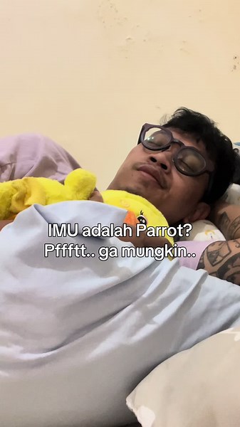 Teori: Imu di One Piece Adalah Burung Parrot?